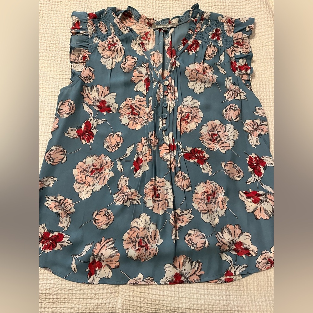 Daniel Rainn Floral Blouse - Blue and Red